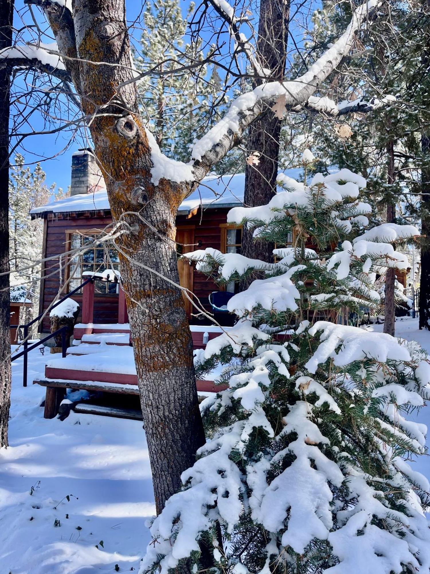 Villa The Nest On Towne Trail - Hot Tub, Bbq, Fire Pit à Lac Big Bear Extérieur photo