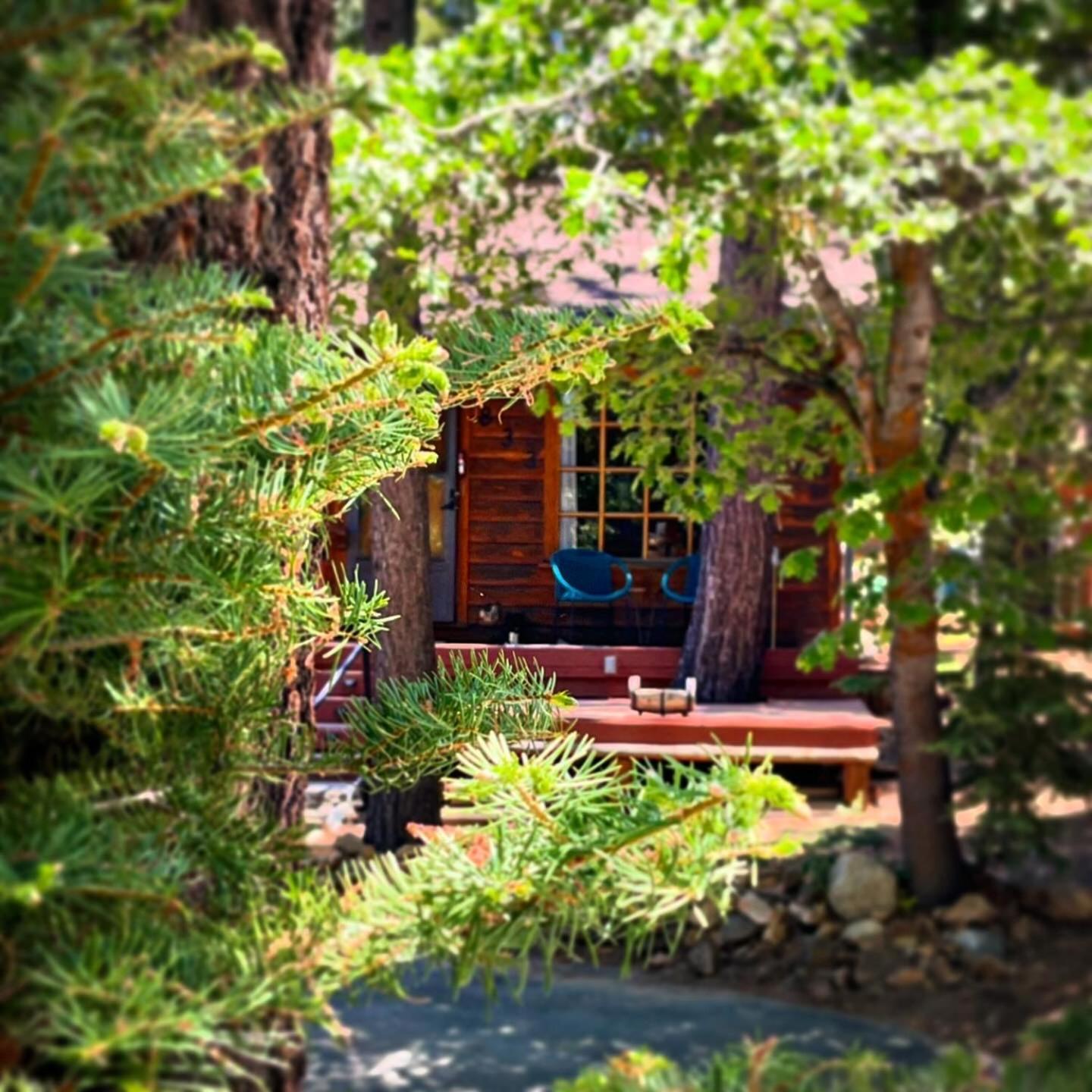 Villa The Nest On Towne Trail - Hot Tub, Bbq, Fire Pit à Lac Big Bear Extérieur photo